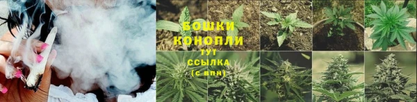 индика Белоозёрский