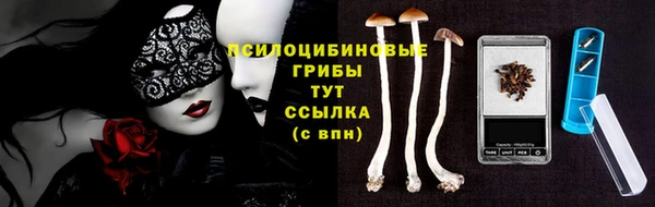 не бодяженный Беломорск