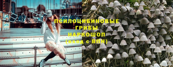индика Белоозёрский