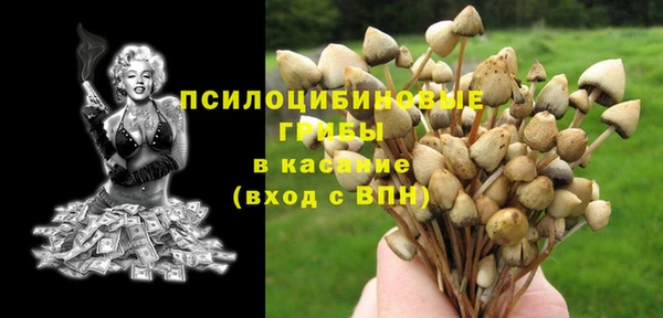 индика Белоозёрский