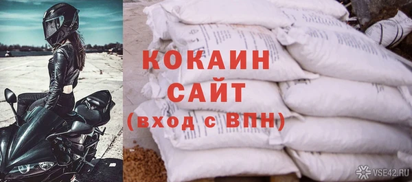 индика Белоозёрский